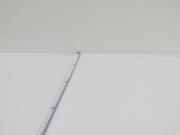 Img 0099