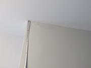 Img 0100