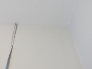 Img 0101