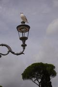 Dsc01200