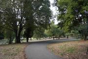Dsc01277