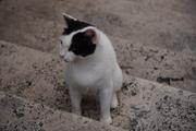 Dsc01976
