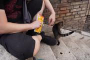Dsc01977