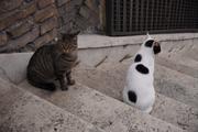 Dsc01979