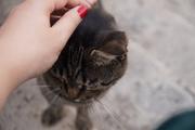 Dsc01981