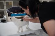 Dsc01986