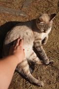 Dsc02056