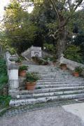 Dsc02084