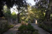 Dsc02091