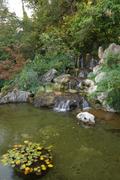 Dsc02095