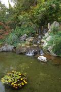 Dsc02096